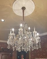 Full view of chandelier hanging from ceiling medallion
