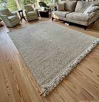 Full view of rug on hardwood floor showing size and fringe