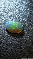 Front view of oval black opal showing multicolor play-of-color