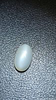 oval cabochon moonstone showing chatoyancy on textured background