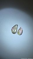 Pair of carved leaf tourmalines under spotlight