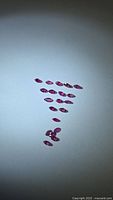 Group of loose marquise-cut rubies arranged on white background