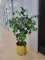 Full view of artificial tree in brass planter in corridor