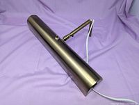 Gold-tone picture light exterior with toggle switch and cord