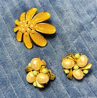 Front view brooch and earrings showing design and colours