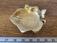 Top view showing leaf shape, veining and butterfly detail