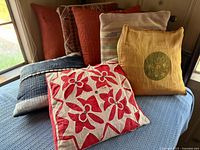 Group shot of six pillows on blue blanket