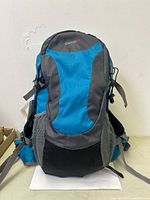 Front view of blue and grey Speedo backpack