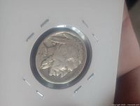 Obverse of 1929 Buffalo Nickel in 2x2 holder