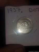 Reverse of 1937 5-cent coin in holder showing beaver design and legend