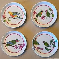 All four Lynn Chase Parrots of Paradise saucer-coasters front view