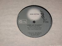 Side A label showing track "Johnny Are You Queer?", cat# QDC 33, artist and label details