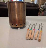 Front view of stainless fire pit and five roasting sticks