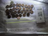 All coins laid out with bag and MaxSold tag visible