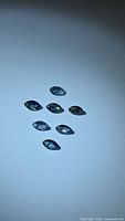 Seven loose marquise blue sapphires on light background