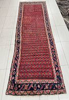Full view of red Persian Arak runner rug showing pattern and borders