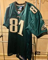 Full front view of jersey on hanger showing number 81 and overall condition