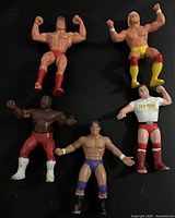 All five wrestler action figures laid out for overview