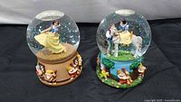 Both snow globes side by side showing overall appearance