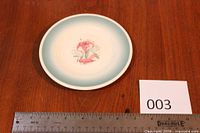 Full view of plate with ruler showing 6 inch diameter