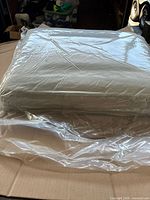 beige sofa cushion sealed in plastic on cardboard