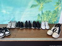 All eight pairs of sneakers lined up on table