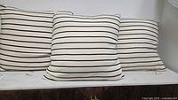 Three matching black and cream striped cushions on surface