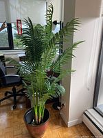 Full view of artificial palm in tapered glossy planter