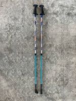Full view of both telescopic poles showing handles and tips
