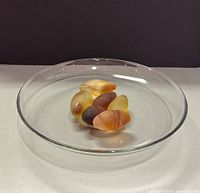 All items inside bowl showing eggs arrangement