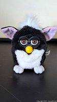 Front view of black/white Furby showing eyes, beak, fur coloration