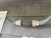 Front view of mounted bull horns on wall