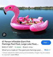 Web image showing giant pink flamingo float with six riders