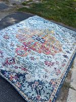 Full view of rug showing overall design and size reference