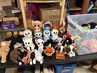 Wide view of table showing assorted Ty Beanie plush, Funko Pops at back, clear bin of extra plush