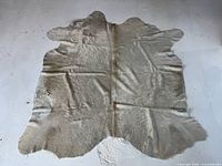 Full view of cowhide rug laid flat