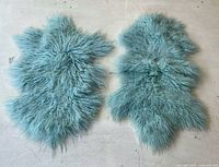 Pair of blue Mongolian lamb pelts front view