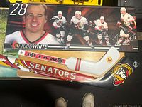 Mini stick on cardboard backing showing Todd White photos