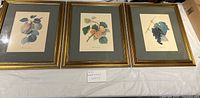 Full set of three framed fruit prints displayed together