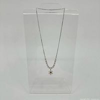 Full view of silver necklace on display bust