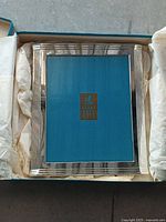 Frame in box with tissue and Birks insert visible