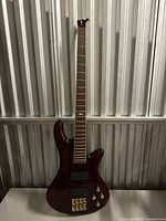 Full view of 5-string bass guitar showing body, neck and missing headstock