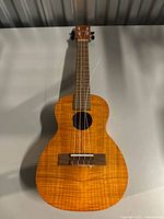 Full view of ukulele front showing body, bridge, strings and neck