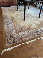 Full view of rug showing overall design and fringe