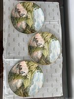 Three plates front view