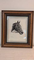 Full view of framed horse print