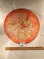 Front view of whole glass disque with size reference ruler