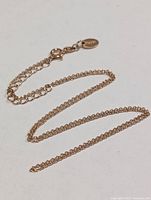 Full view of silver chain laid out