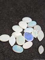 All loose opal cabochons grouped on dark surface