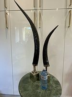 Two John-Richard horn sculptures beside water bottle for scale